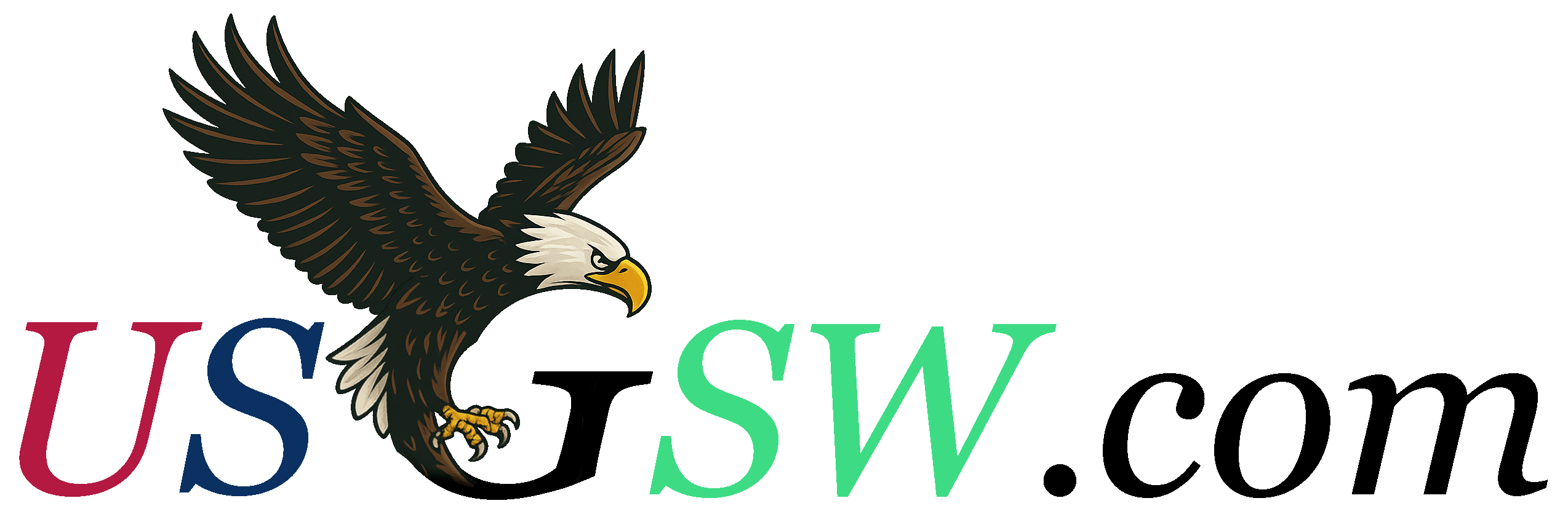 US G-Software Logo